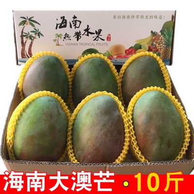 海南青皮澳芒大芒果树上熟10斤