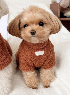 狗狗衣服秋冬洋气加绒棉衣泰迪雪纳瑞宠物小狗小猫可爱保暖服饰潮