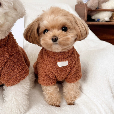 狗狗衣服秋冬洋气加绒棉衣