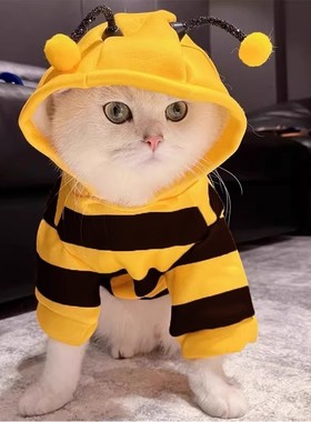 猫咪衣服秋冬季布偶蓝猫小猫宠物狗狗保暖加绒可爱连帽卫衣防掉毛