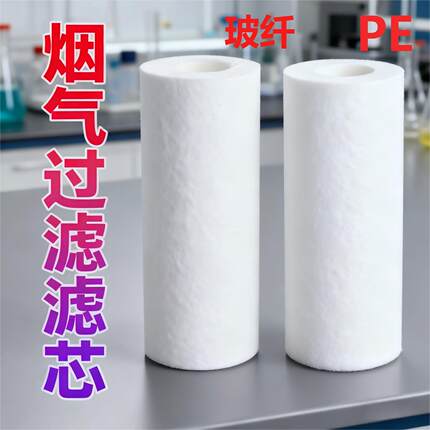 CEMS烟气过滤器滤芯PE滤芯玻纤过滤芯高分子材料在线监测器过滤芯