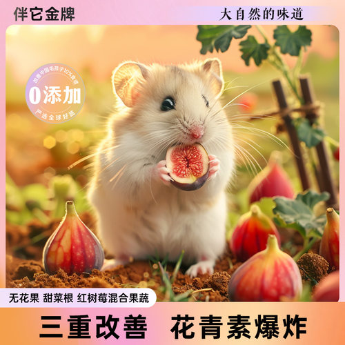 宠物零食果蔬冻干金丝熊用品小兔子花枝鼠仓鼠磨牙专用零食饲料