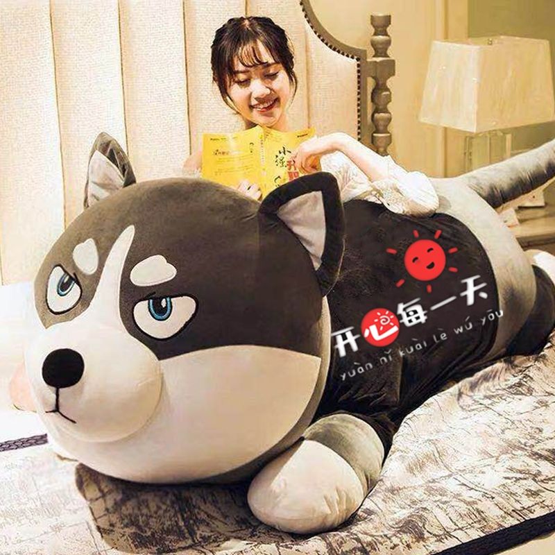 趴趴狗二哈女生抱着睡觉毛绒玩具