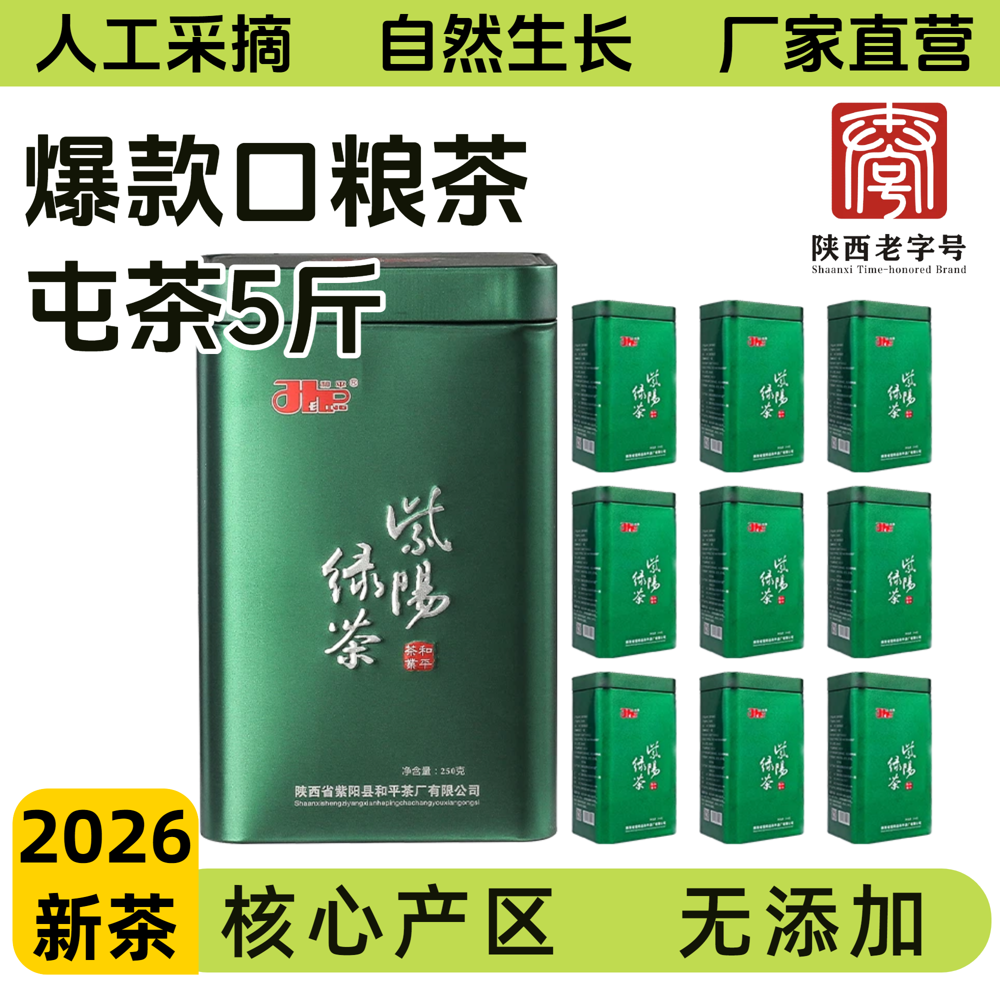 紫阳明前一级绿茶2026新茶团购