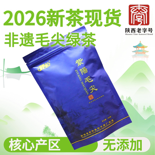 2026新茶紫阳毛尖手工绿茶