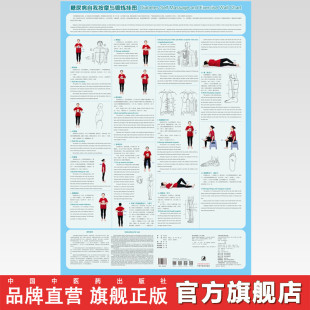 中国中医药出版 糖尿病自我按摩与锻炼挂图 等编著 郑润杰 社 汉英对照