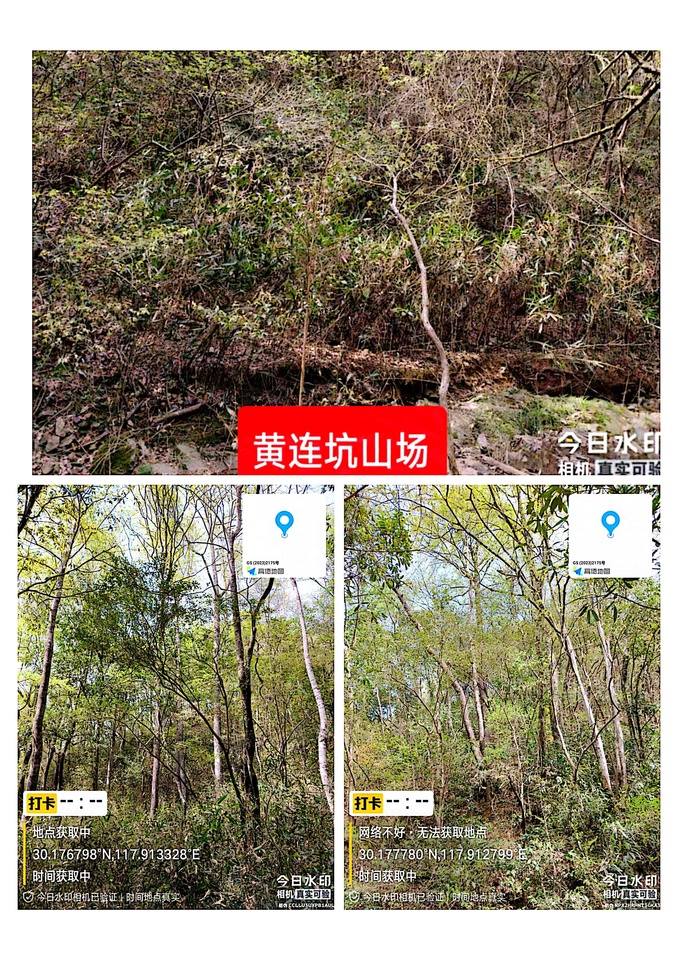 黄山市黄山区乌石镇地理溪村湖北岭组、戴家组林权