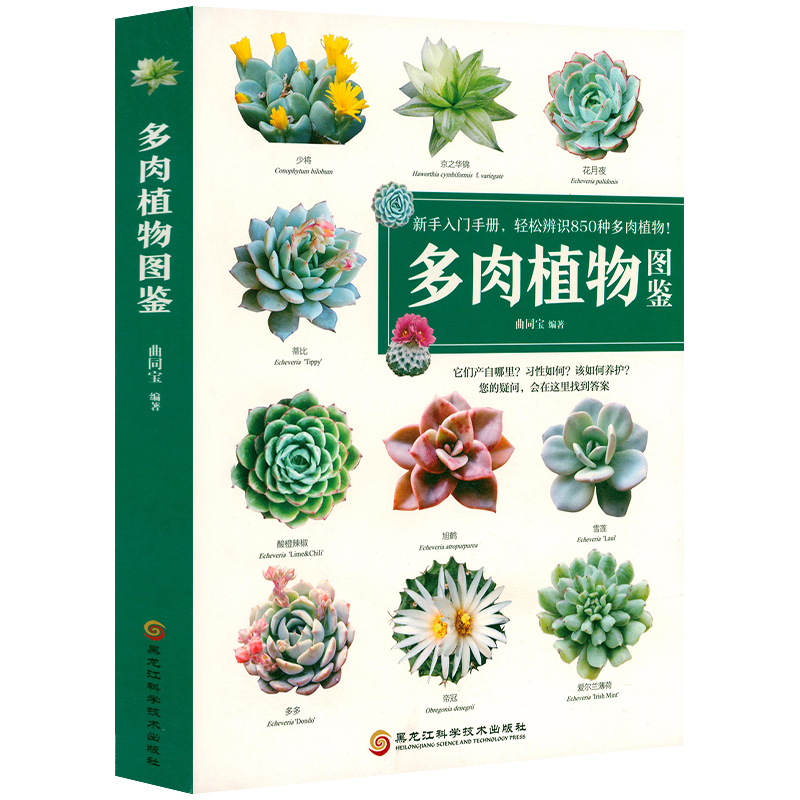 多肉植物图鉴轻松辨识850种多肉植物花卉养殖养护多肉这样养景天多肉植物图鉴书籍四季养花零 盆景制作栽培贵族新手养多肉不败指南