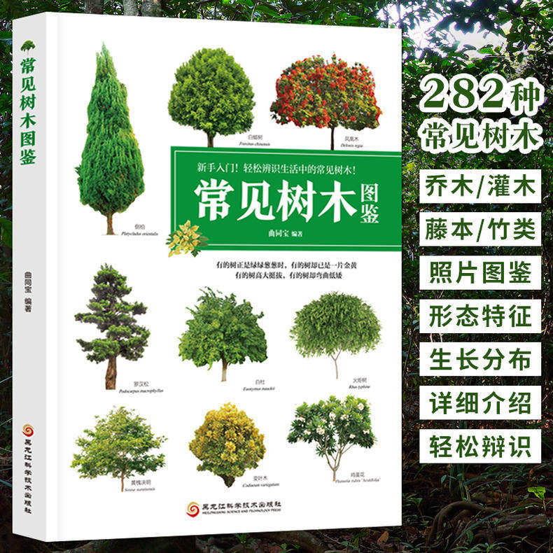 常见树木图鉴 新手入门轻松辨识 大自然植物乔木灌木盆栽盆景园林绿化树木鉴赏识别书籍学生自然百科普全书中国花草树木图鉴大全