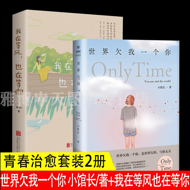 套装2册 世界欠我一个你+我在等风也在等你 青春治愈系励志文学小说小馆长诚意之作写青春成长励志随笔集情感故事图书籍