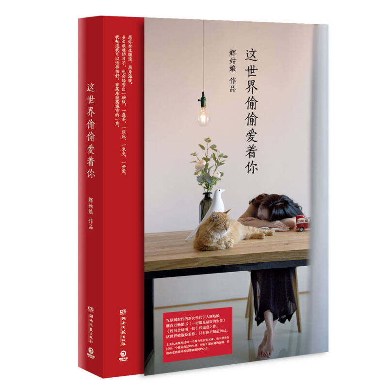 这世界偷偷爱着你 辉姑娘作品中国现当代青春文学都市情感言情小说