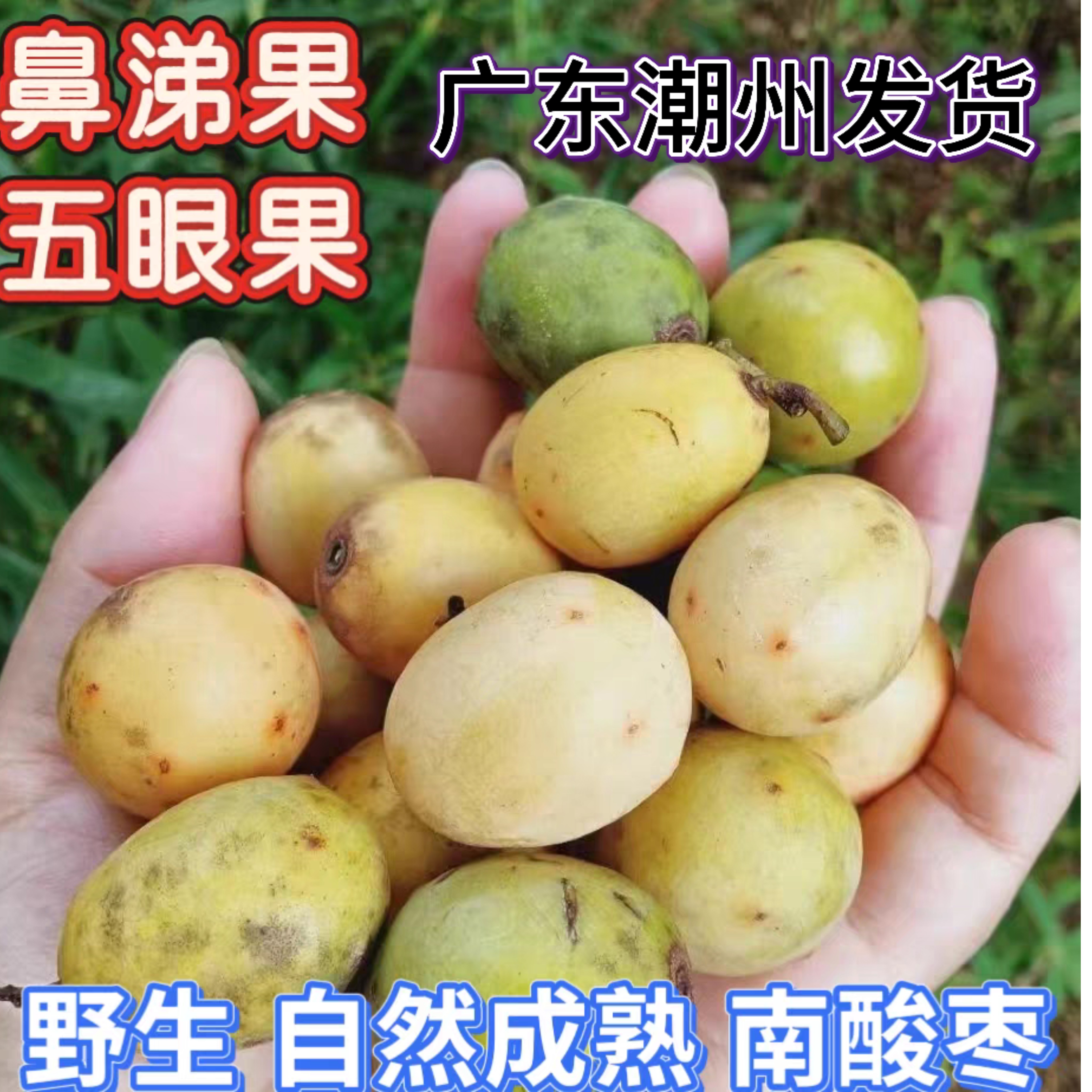 鲜果5斤野生酸枣鼻涕果新鲜五眼果现摘现发南酸枣黄酸枣酸枣糕
