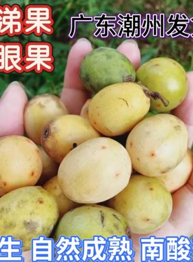 鲜果5斤野生酸枣鼻涕果新鲜五眼果现摘现发南酸枣黄酸枣酸枣糕