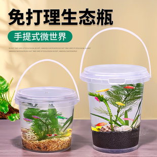 手提生态瓶DIY活体学校小鱼塑料摆件微景观淡冷水真观赏鱼虾水草