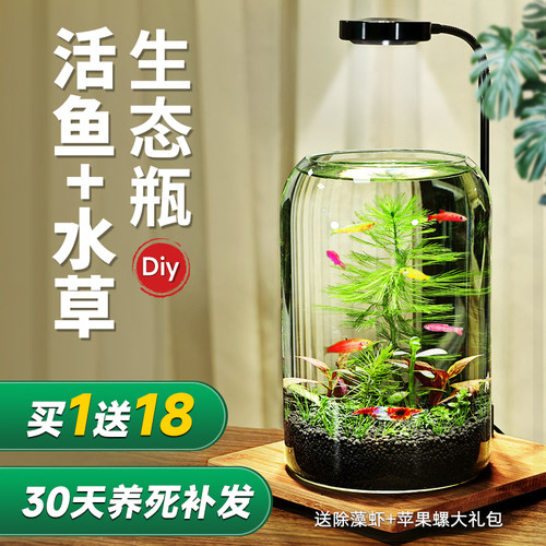 diy迷你办公桌面玻璃鱼缸生态瓶