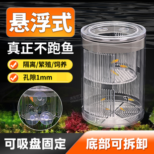 孔雀鱼繁殖盒孵化盒双层自浮式幼鱼卵孵化器产房斗鱼隔离盒特大号