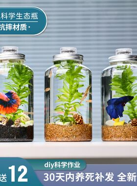 创意水族箱生态瓶微景观造景斗鱼缸免换水免打理桌面DIY造景鱼缸