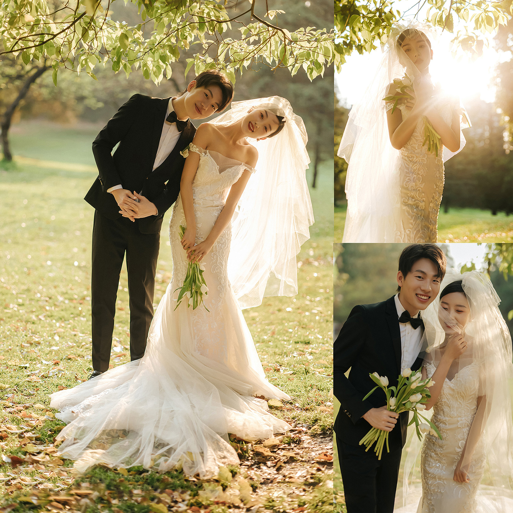 2024新主题影楼展会情侣婚纱照放大样片森系草地旅拍样片客片h06