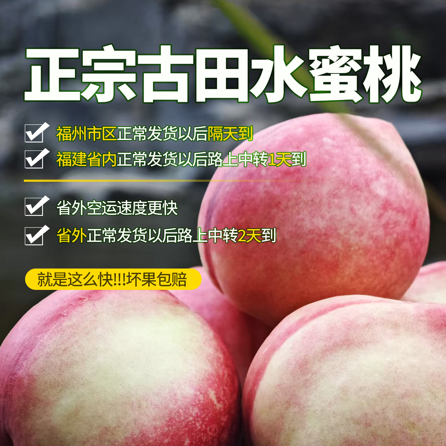 白凤水蜜桃古田白蜜桃甜脆桃应季现摘现发水果10斤大果官州直发