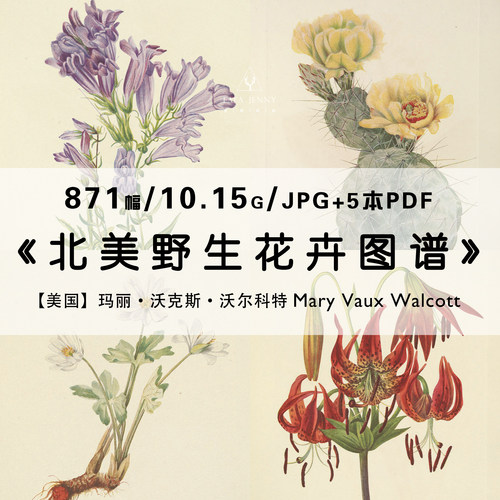 北美野生花卉玛丽沃尔科特Mary Vaux Walcott图片集电子手账素材