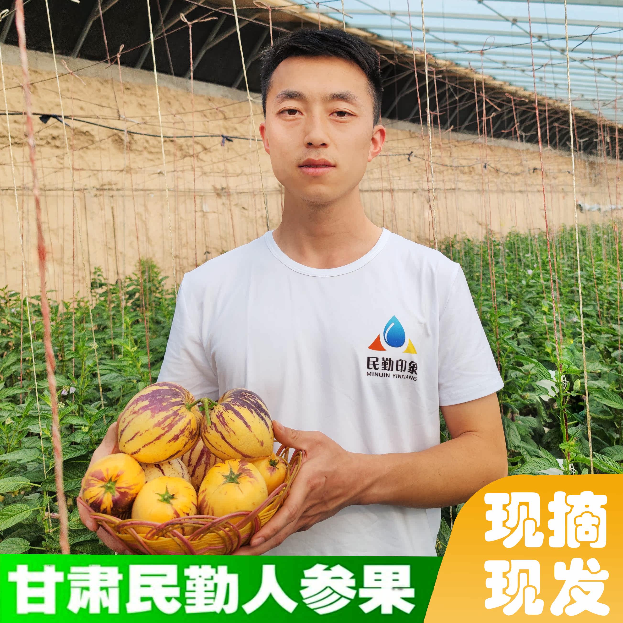 甘肃民勤人参果当季新鲜水果5/8斤低糖黄肉爆汁坏果包赔