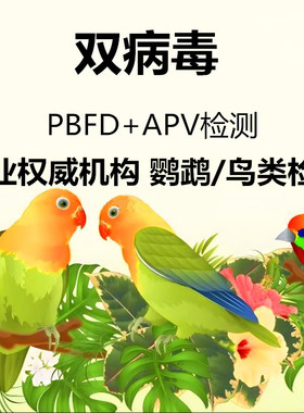 鹦鹉喙羽症PBFD病毒APV病毒验卡 鹦鹉双病毒检测鸟类DNA性别鉴定