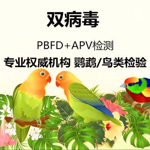 鹦鹉喙羽症PBFD病毒APV病毒验卡 鹦鹉双病毒检测鸟类DNA性别鉴定