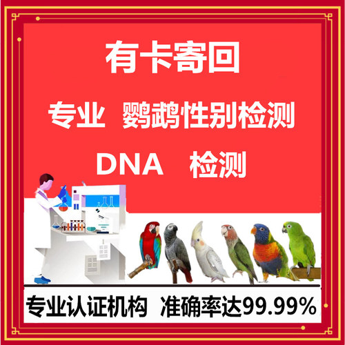 鹦鹉验卡公母鸟类性别鉴定有回卡