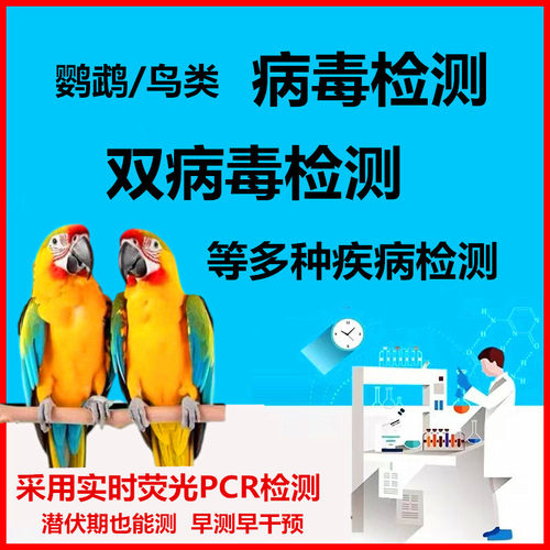鹦鹉热衣原体念珠菌毛滴虫沙门氏菌病毒双病毒检测验卡鹦鹉问诊