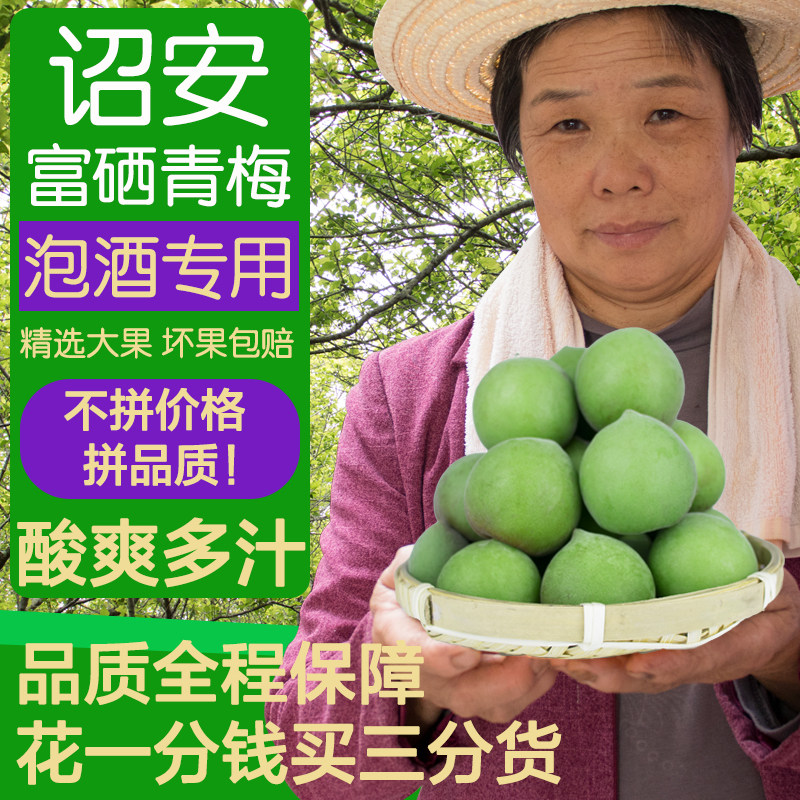 2026青梅鲜果诏安青梅现摘泡酒青梅汁酵素5斤装鲜梅子孕妇酸水果