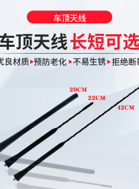 淘众福迪雄狮F22华普海域天线