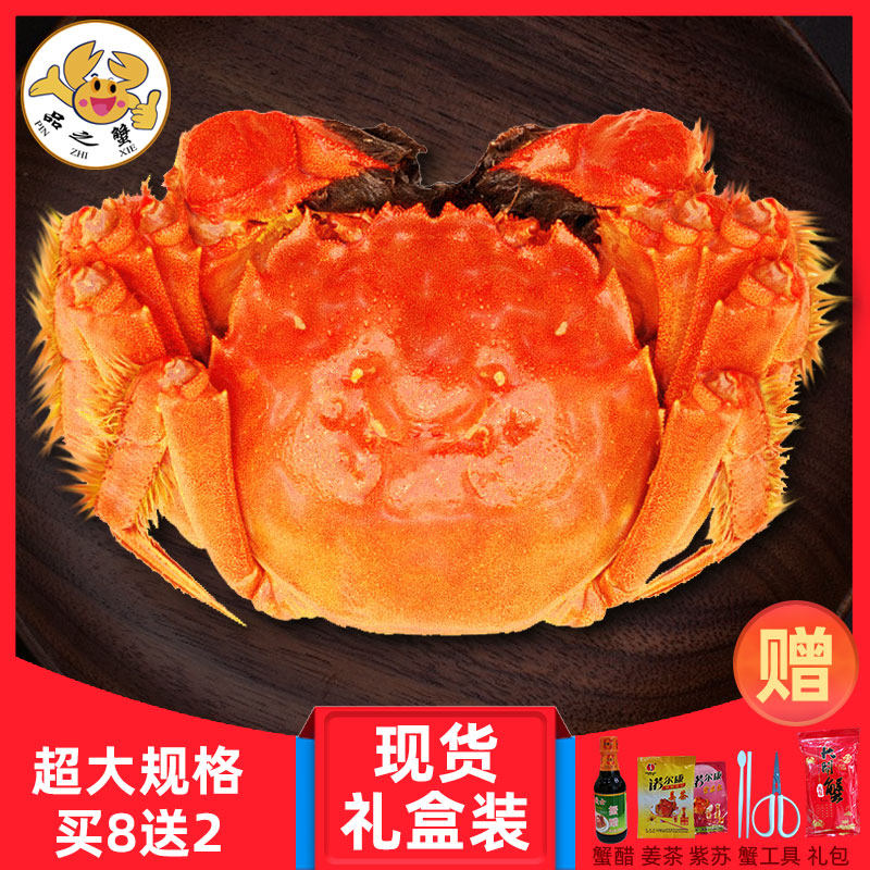 品之蟹大闸蟹全母蟹礼盒装鲜活