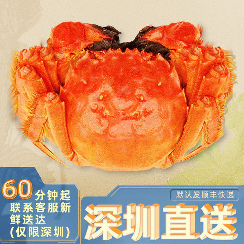 品之蟹苏州大闸蟹深圳大闸蟹