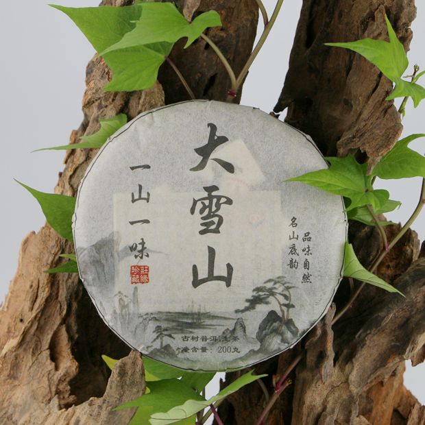 云南勐库大雪山普洱生茶200克饼茶百年古树纯料压制庄缘普洱老茶