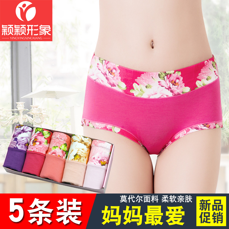 莫代尔女士内裤棉质面料中腰柔软