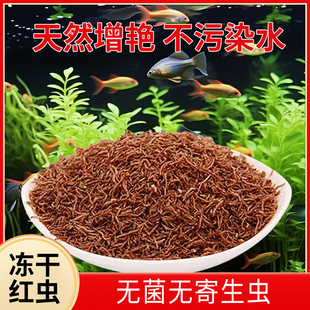 冻干红虫鱼饲料锦鲤孔雀鱼小型鱼食红线虫六角恐龙鱼观赏鱼饲料