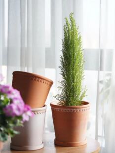 浮雕绿植园艺花盆庭院高档陶土盆大口径多肉粗陶红陶土瓦盆带托盘