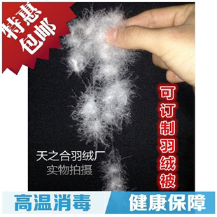 羽绒散装 95%白鸭绒 鹅绒 羽绒枕头羽绒被羽绒服填充物