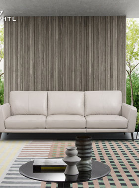 HTL沙发简约现代休闲沙发真皮头层牛皮全户型客厅纪念款A0499
