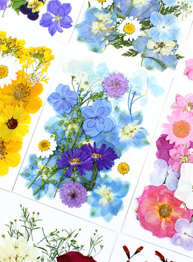 儿童教学压花干花混合花材多色