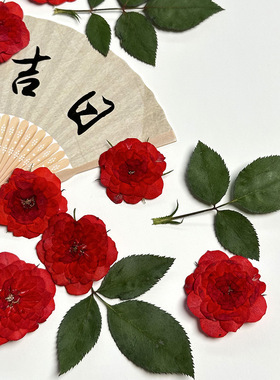 红色玫瑰压花植物标本手工相框