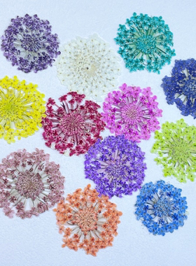 儿童翠珠压花标本DIY压花台灯