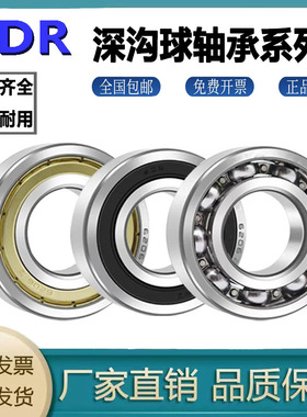 深沟球轴承Z9289 Z8289 Z0389 Z2389 Z4389 Z0069 Z1069 Z2069