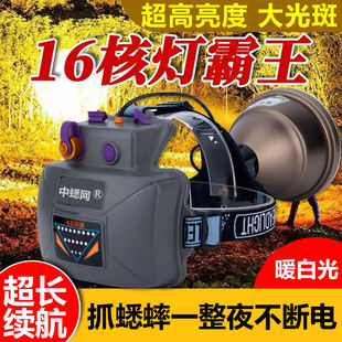 抓蟋蟀蛐蛐头灯超高亮16核动力电池一体户外暖白头灯鸣虫用品用具
