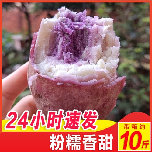 现挖现发广东冰淇淋番薯一点红