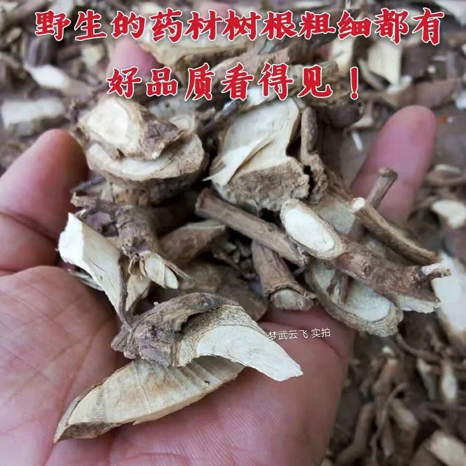 新鲜刺楸根 鸟不宿 鼓钉刺 刺枫树 棘楸 刺桐纯根干货500g