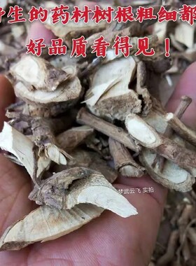 新鲜刺楸根 鸟不宿 鼓钉刺 刺枫树 棘楸 刺桐纯根干货500g