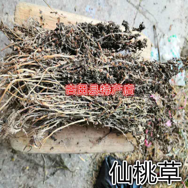 天然仙桃草 水衰衣 英桃草 蟠桃草 接骨仙桃 地胡椒 干货500g包邮