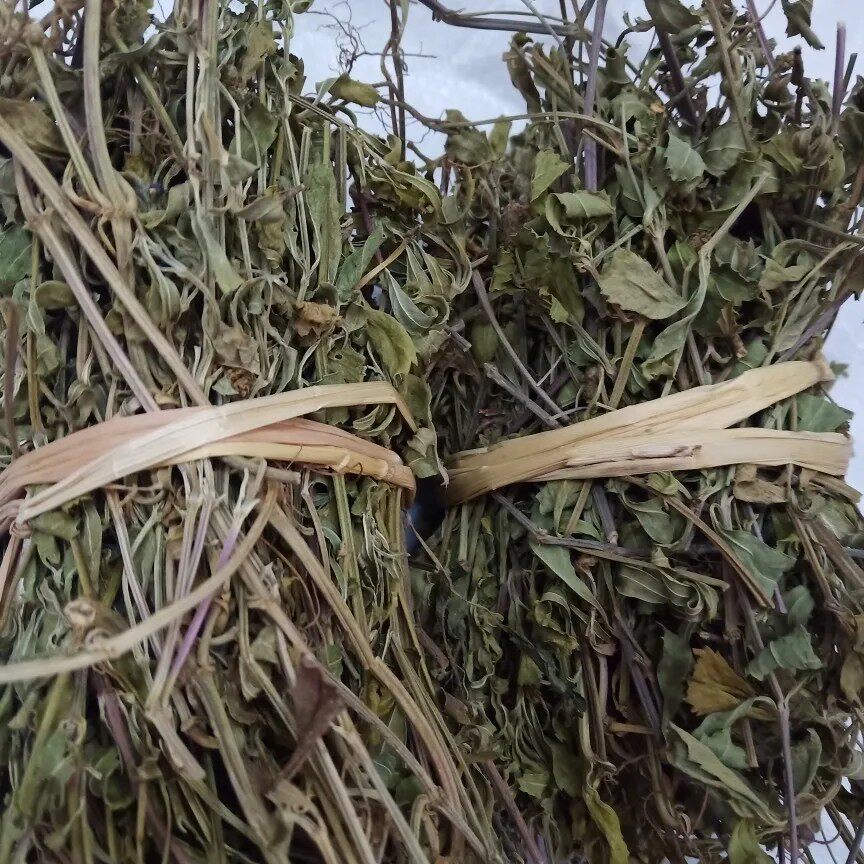 天然千打锤 千下锤 千下槌 千打槌 千锤草 干货500g包邮