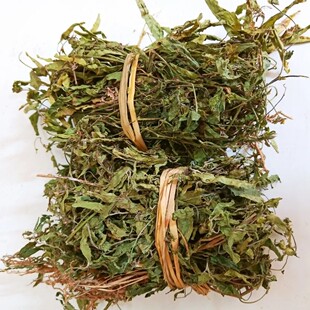新鲜铁苋菜 海蚌含珠 壳草 血见愁 野麻草 李子草 干货500g包邮